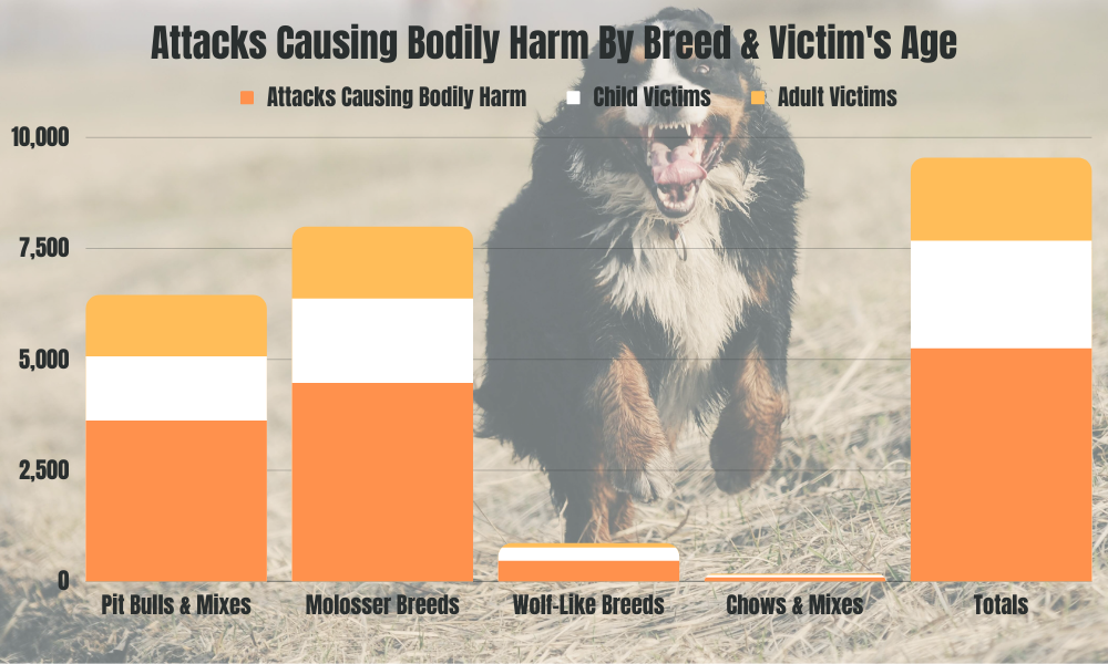 Attacks Causing Bodily Harm by Dog Breed & Victim's Age