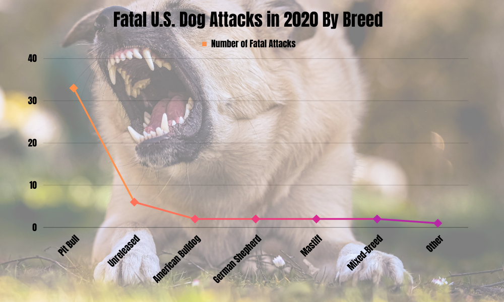 Fatal U.S. Dog Attacks in 2020 by Breed