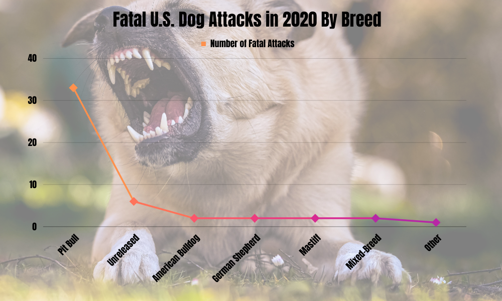 Essential Statistics On Dog Attacks in the United States