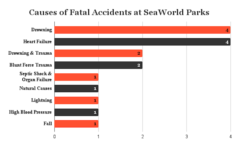 Causes of Fatal Accidents at SeaWorld Parks